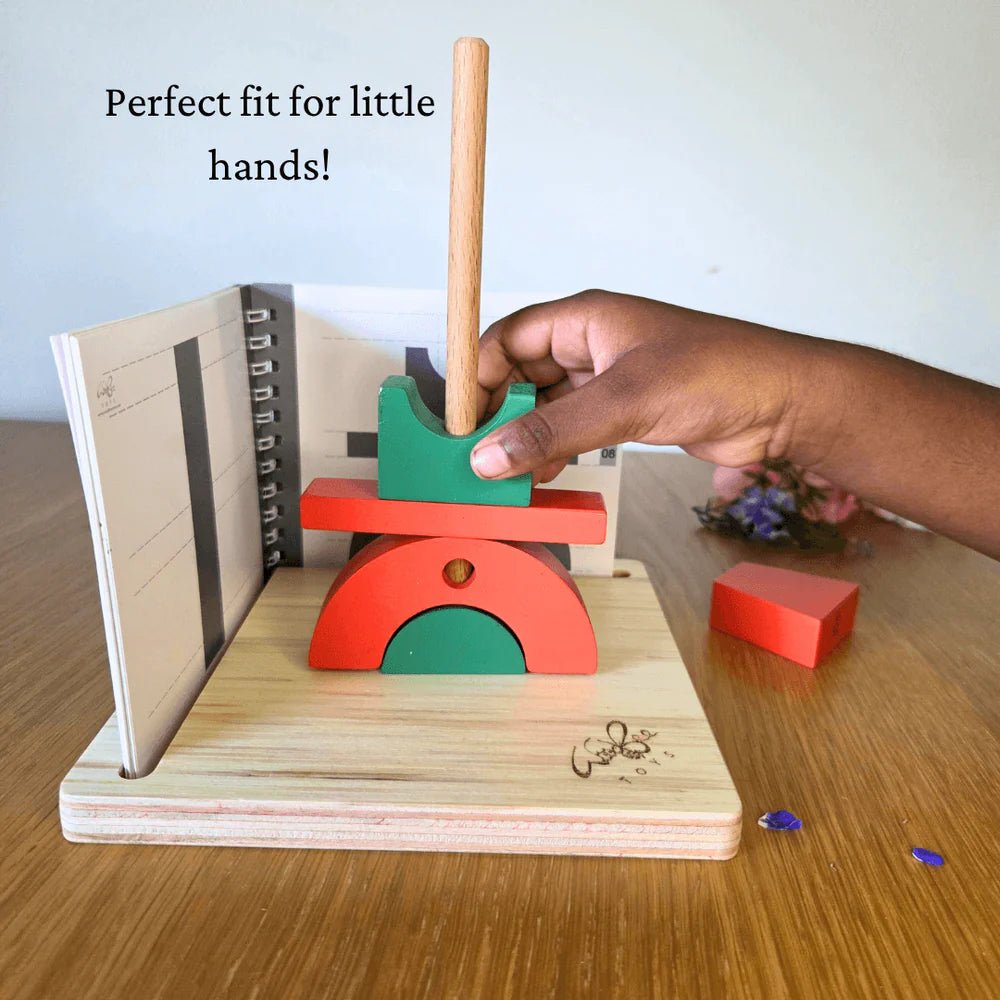 3D Projection Wooden Puzzle - Tortoyse