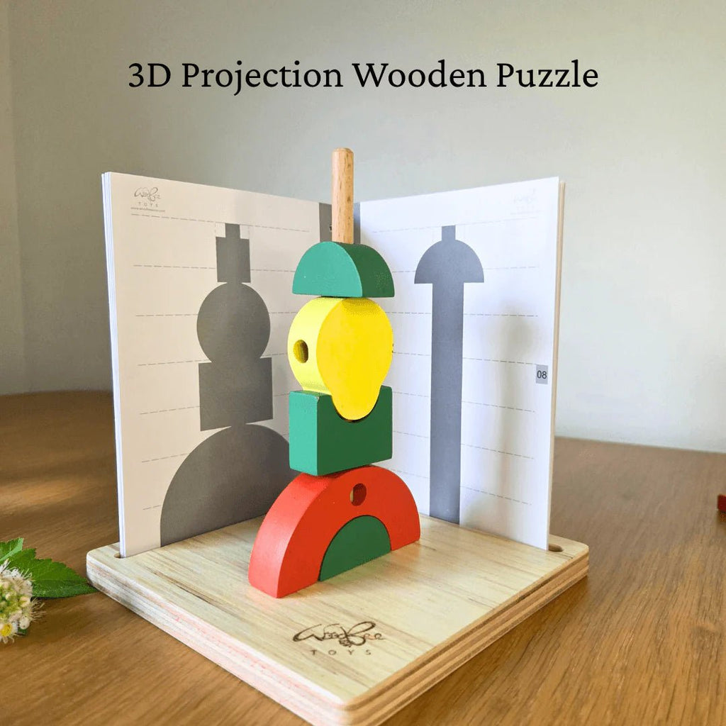3D Projection Wooden Puzzle - Tortoyse