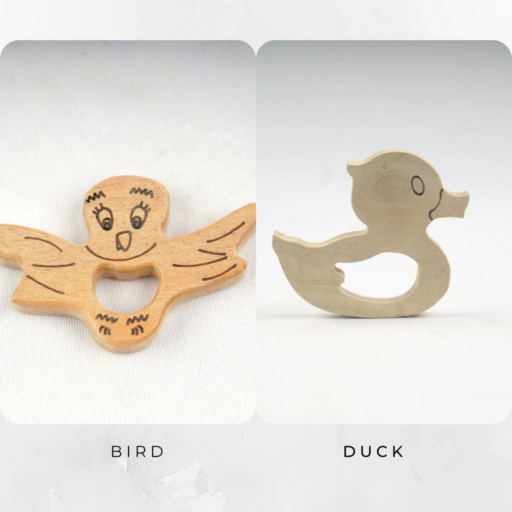 Bird + Duck - Tortoyse