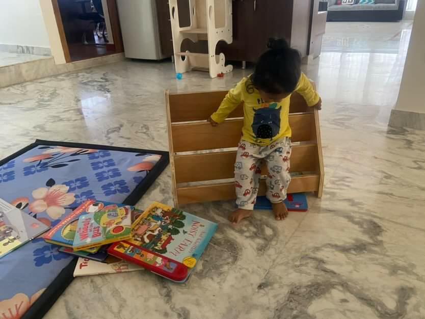 Book Shelf - Tortoyse