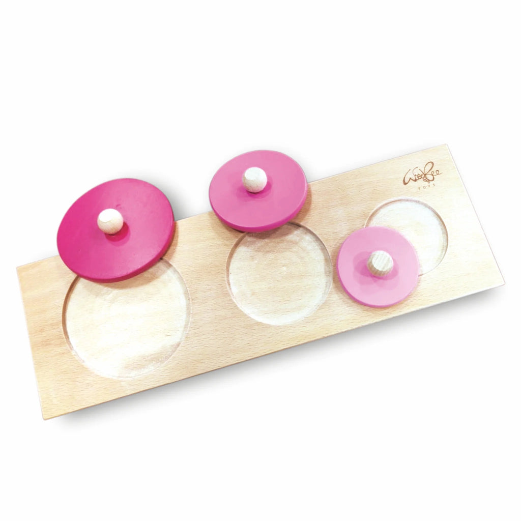 Circle Seriation Puzzle - Tortoyse