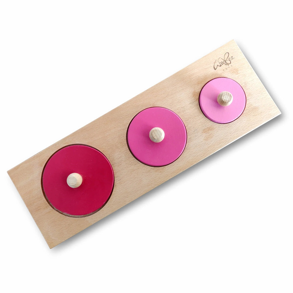 Circle Seriation Puzzle - Tortoyse