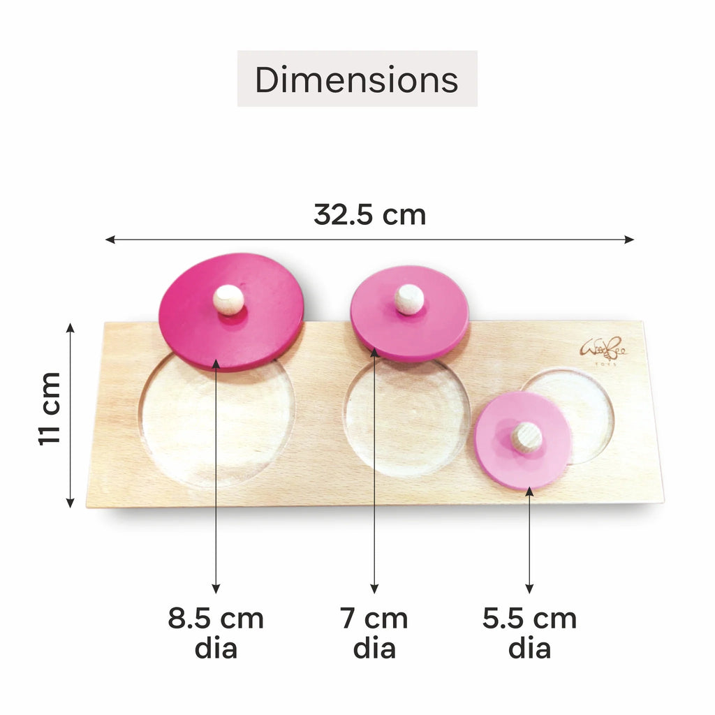 Circle Seriation Puzzle - Tortoyse