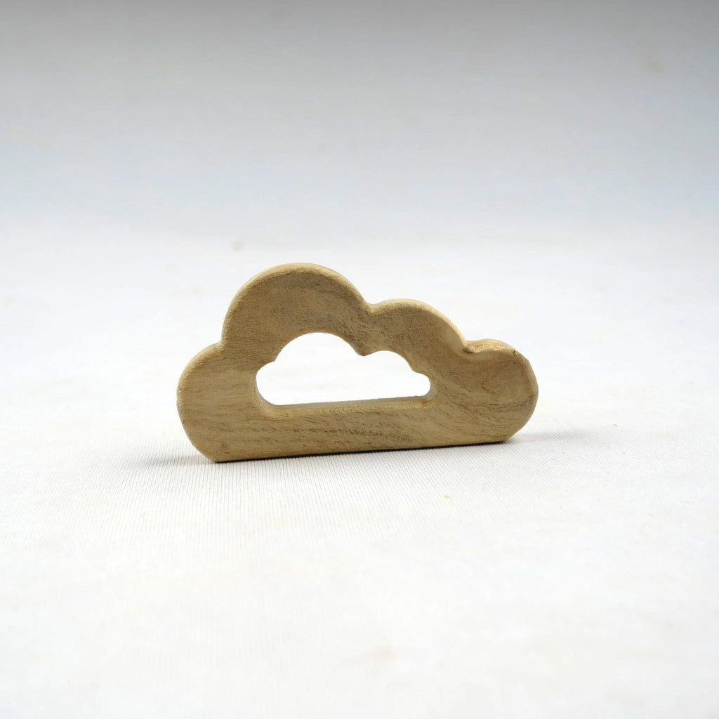 Cloud + Bird - Tortoyse