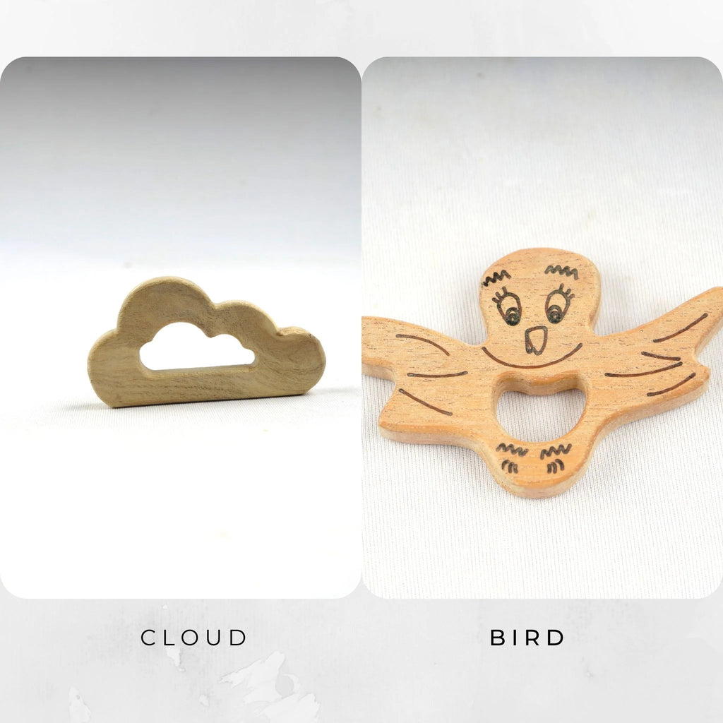 Cloud + Bird - Tortoyse