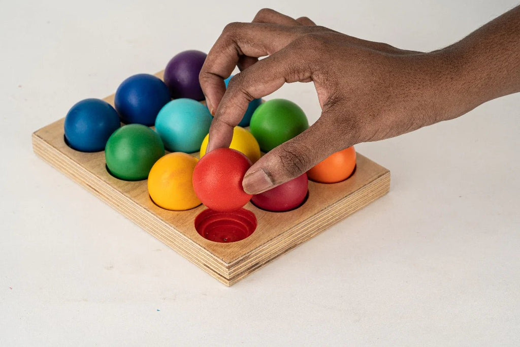 Colour ball sorter - Tortoyse