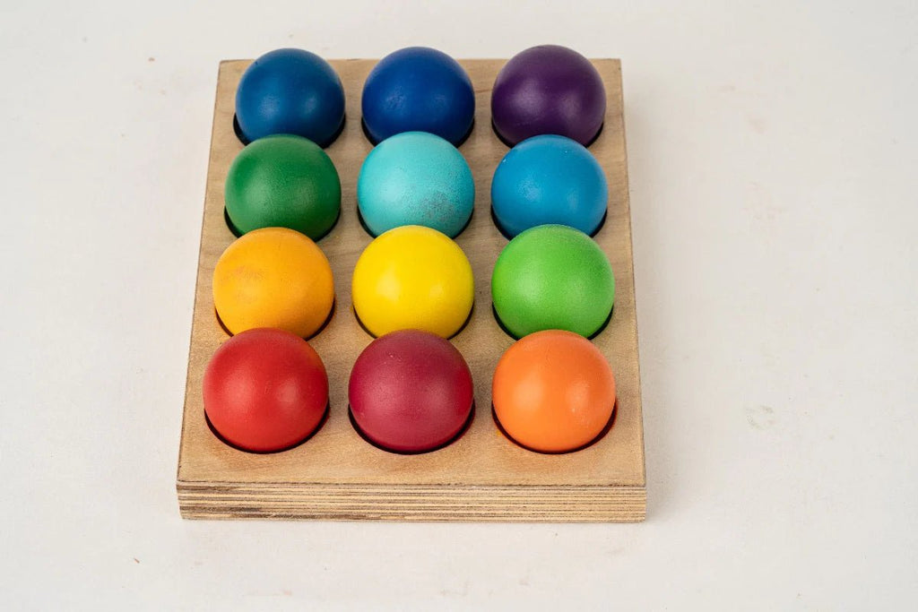 Colour ball sorter - Tortoyse