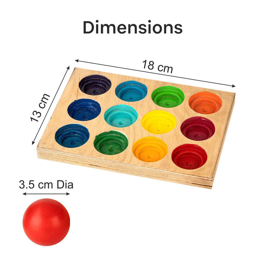 Colour ball sorter - Tortoyse