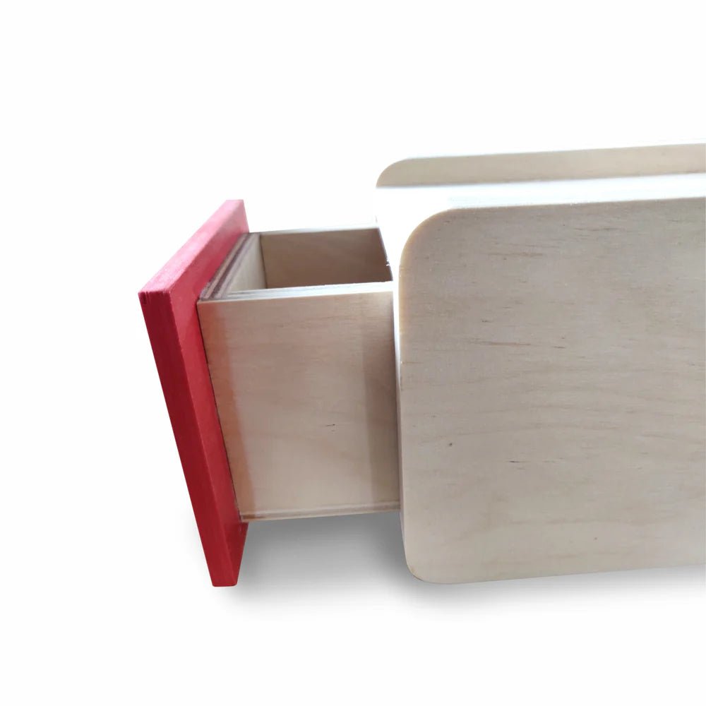 Imbucare box of Object Permanence - Tortoyse