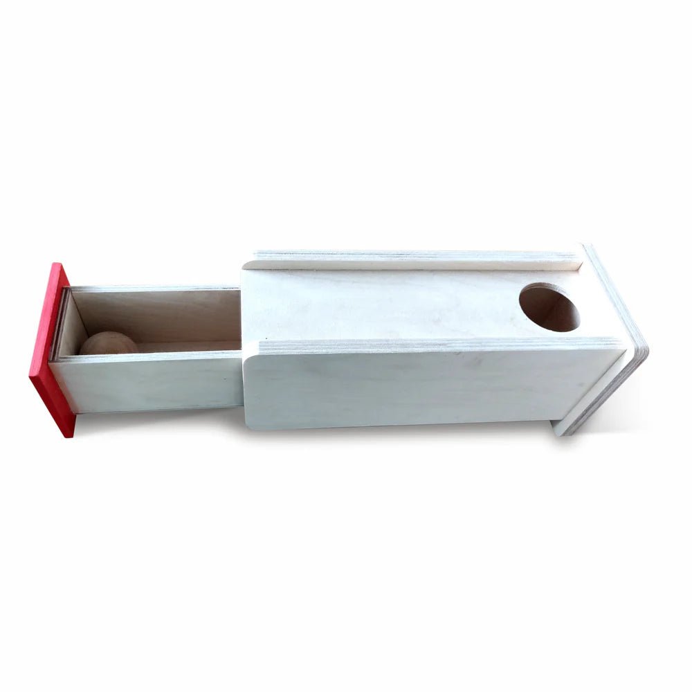 Imbucare box of Object Permanence - Tortoyse