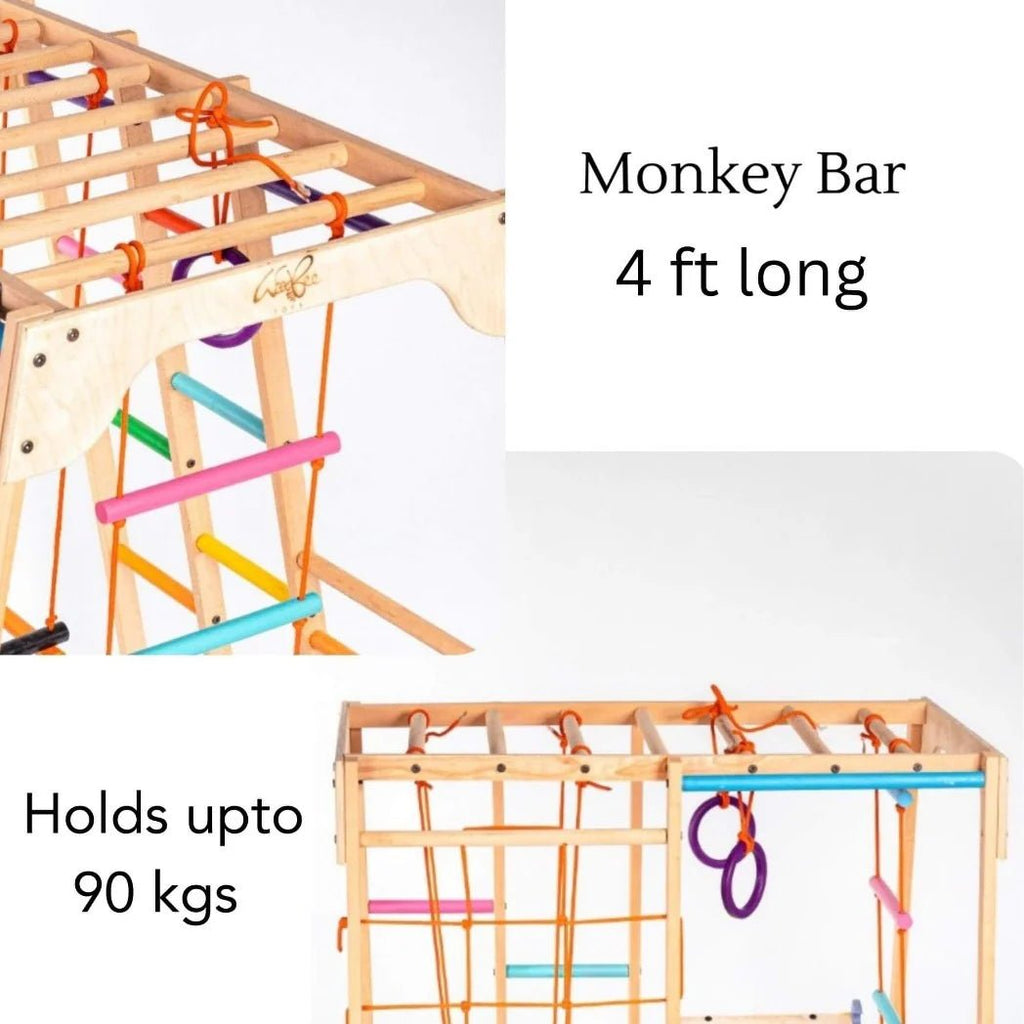 Jungle Gym - Tortoyse
