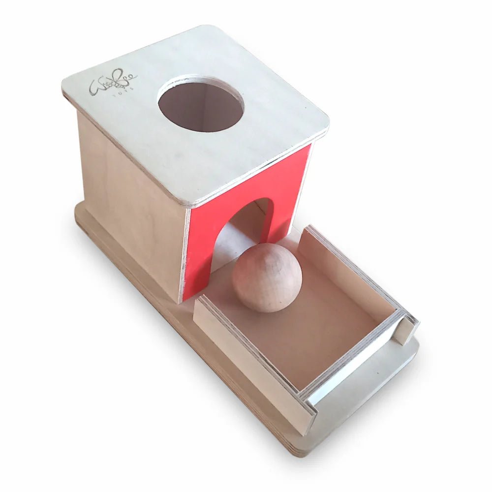 Object Permanence Box - Tortoyse