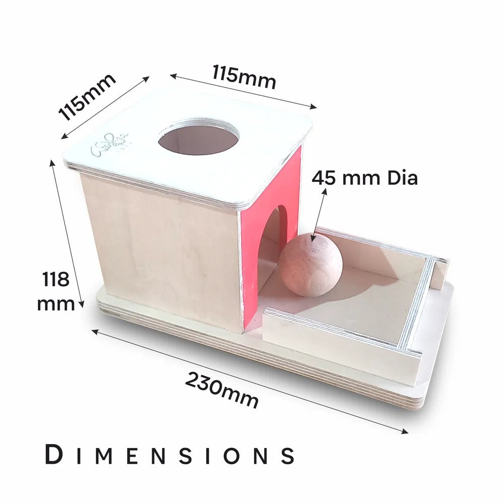 Object Permanence Box - Tortoyse