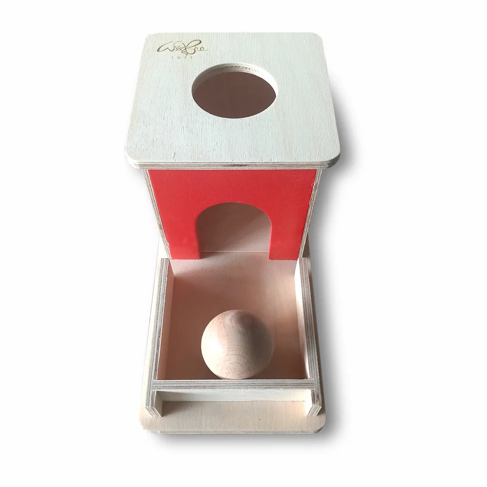 Object Permanence Box - Tortoyse