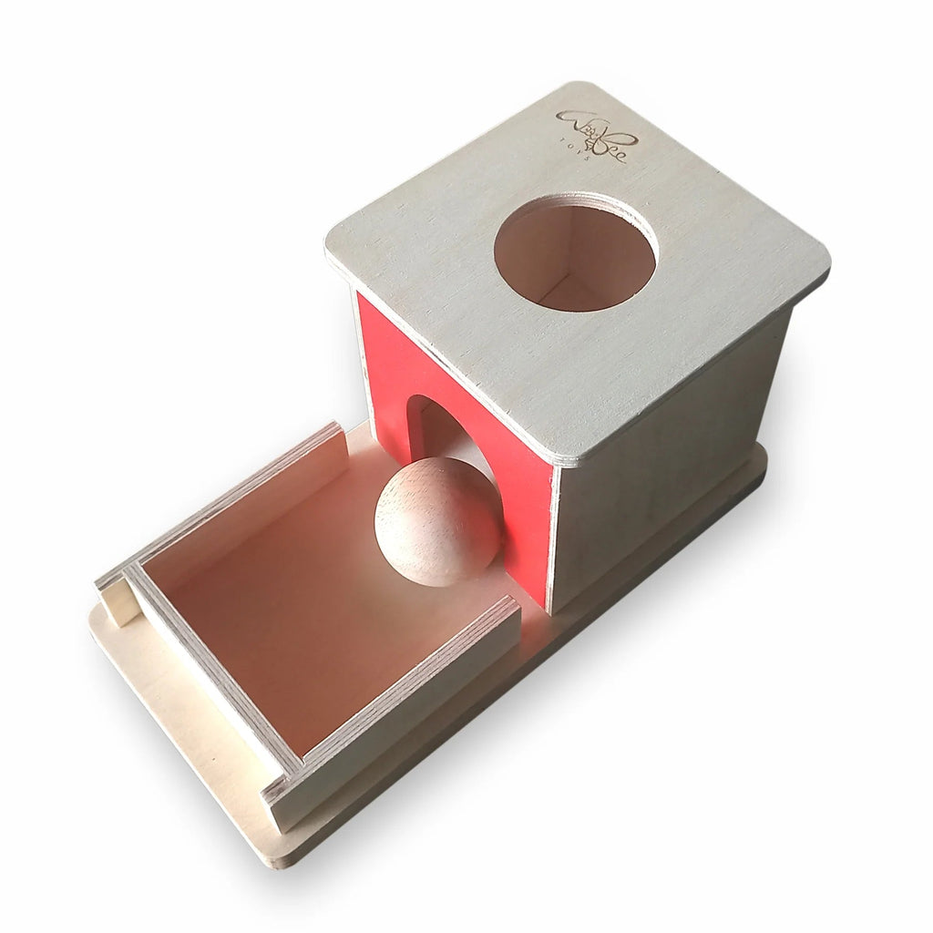 Object Permanence Box - Tortoyse