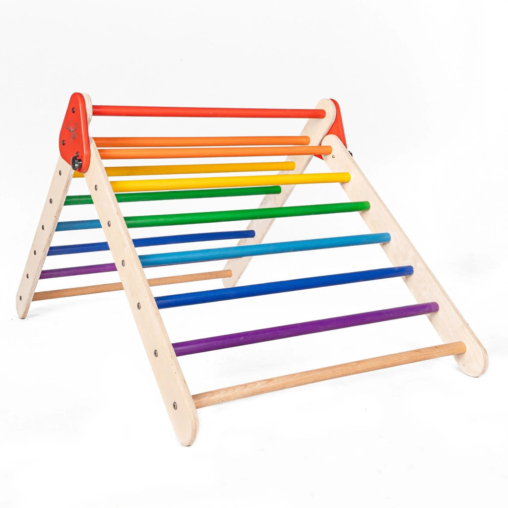 Pikler Triangle with Slider - Tortoyse