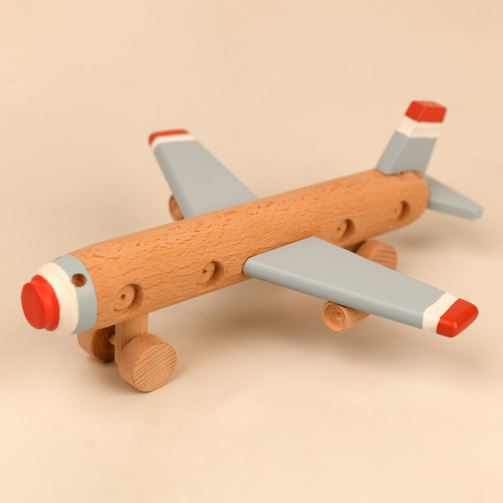Playbox Aeroplane Wooden Toy - Tortoyse