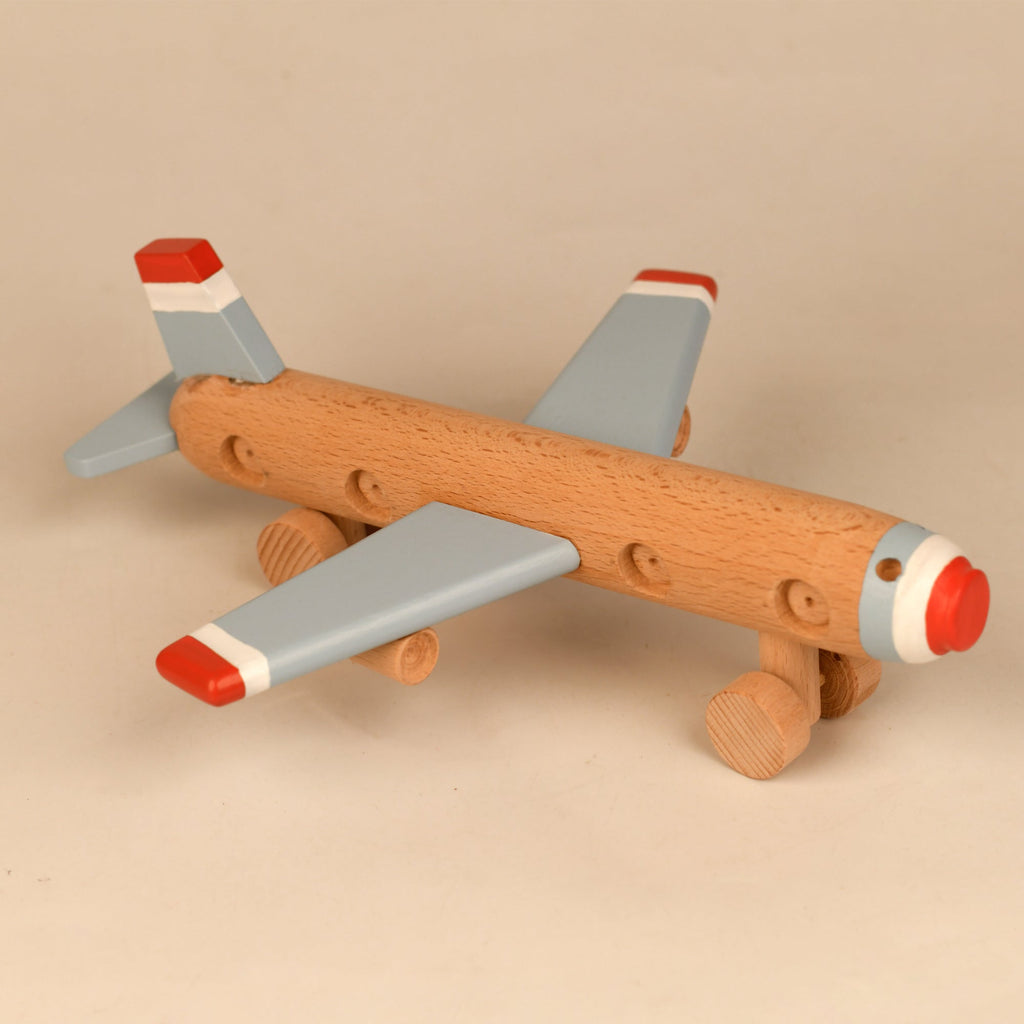 Playbox Aeroplane Wooden Toy - Tortoyse