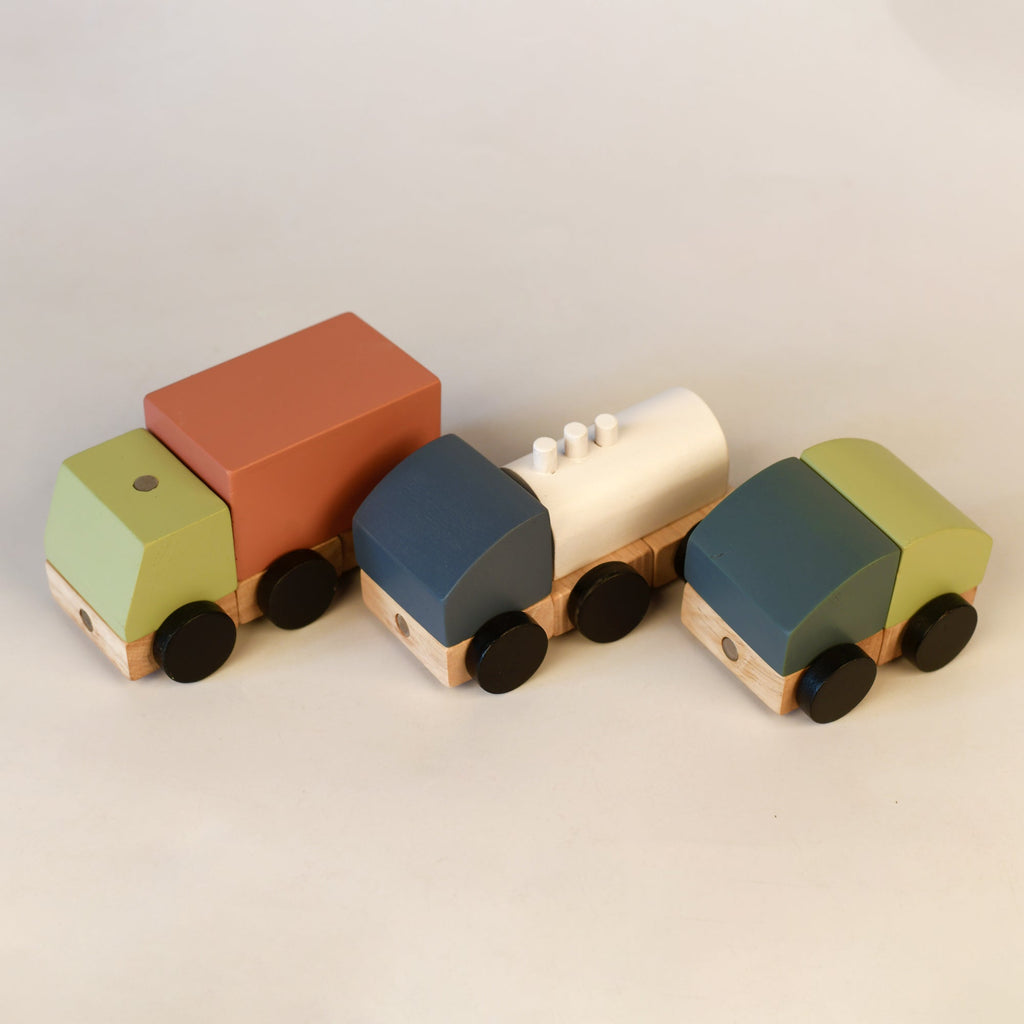 Playbox Modular Magnetic Wooden Toy - Tortoyse