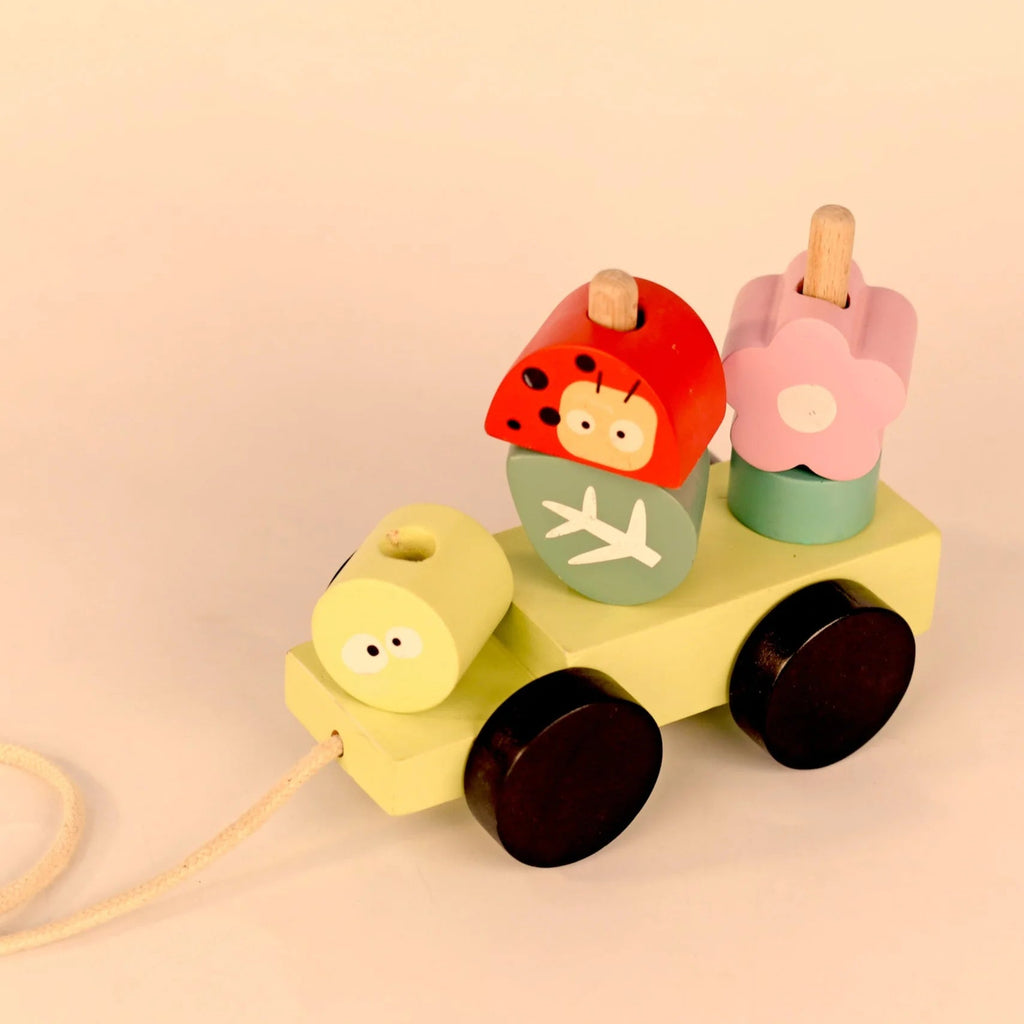 Playbox Wooden Pull Along Forest Toy Set - Tortoyse