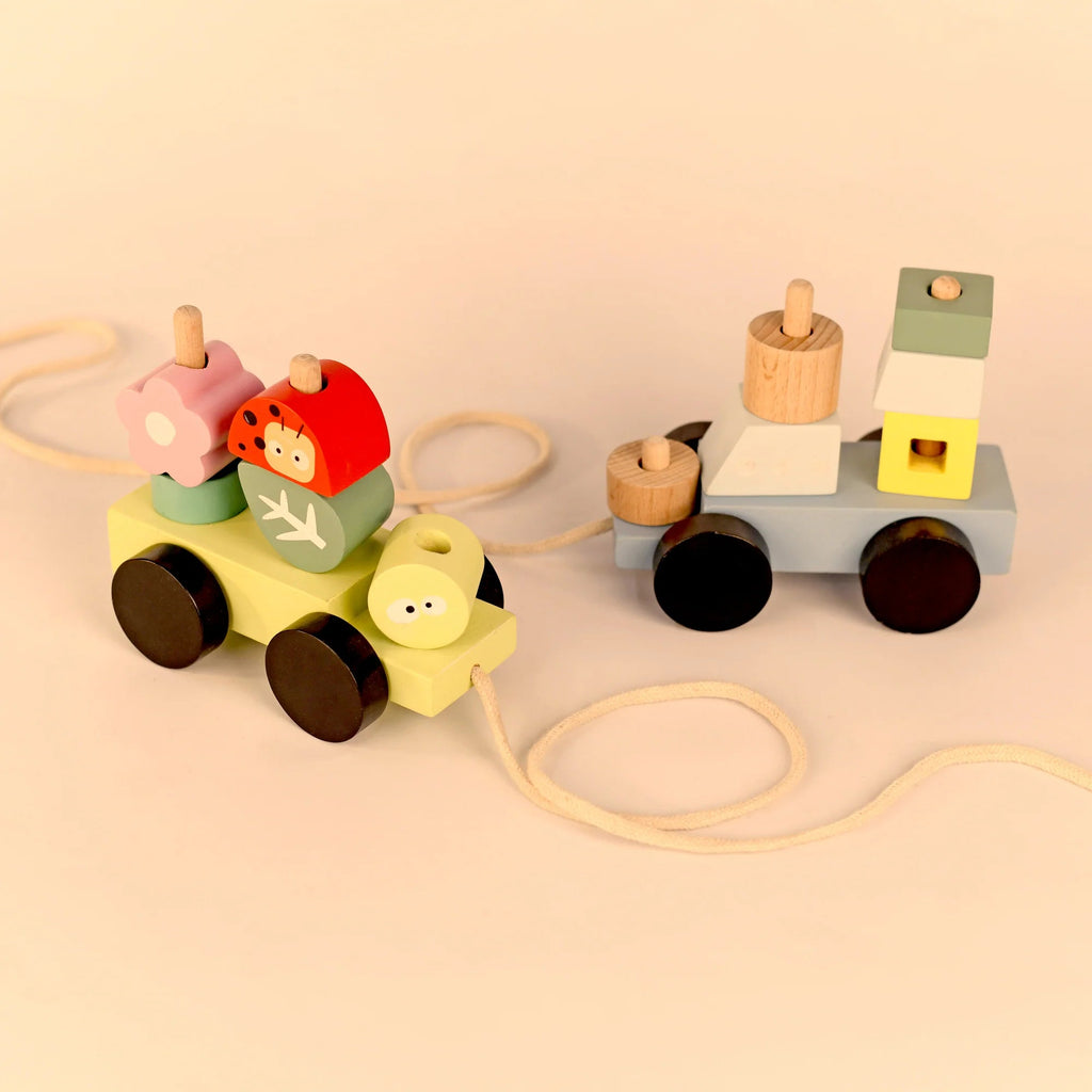 Playbox Wooden Pull Along Forest Toy Set - Tortoyse