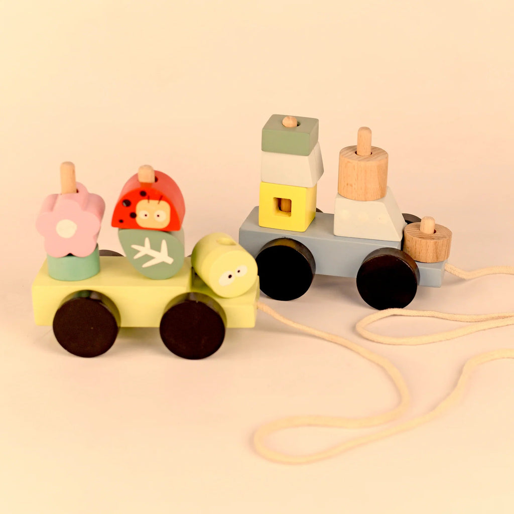 Playbox Wooden Pull Along Forest Toy Set - Tortoyse