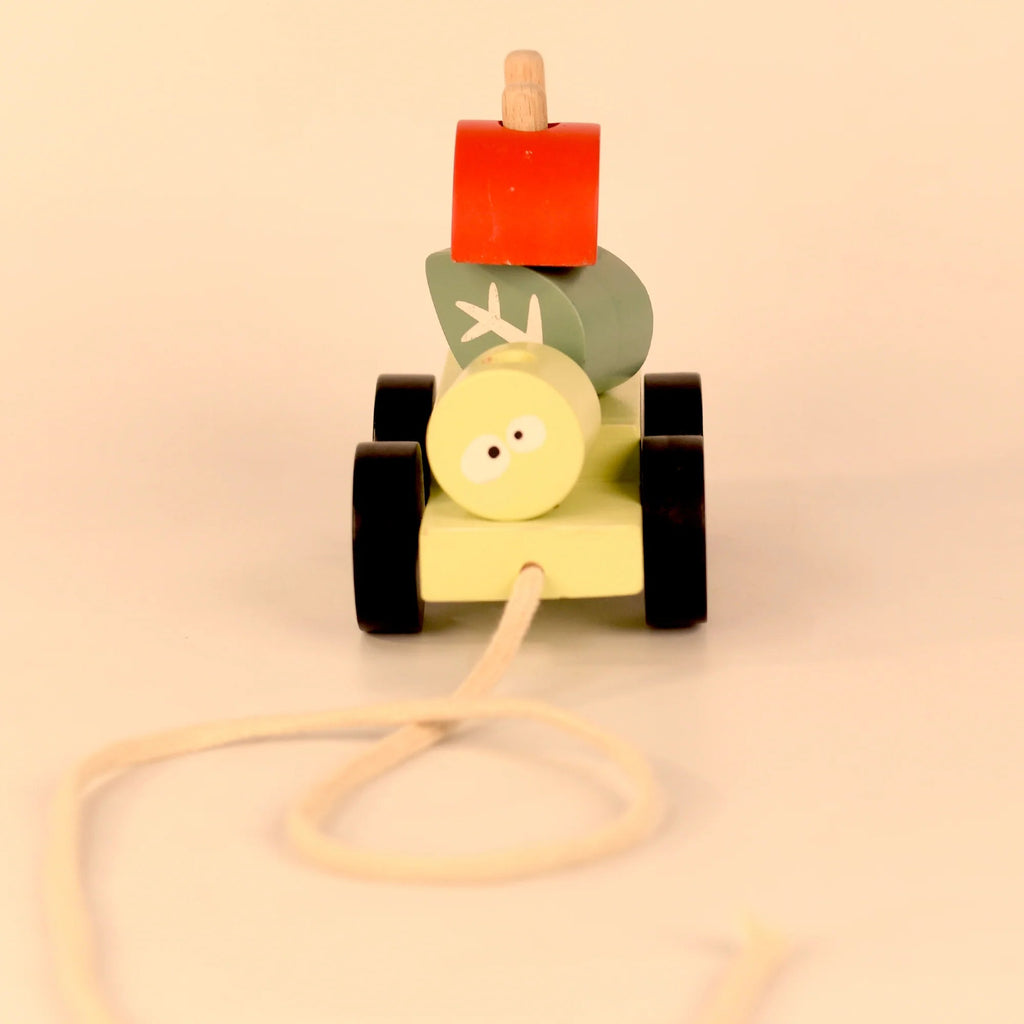 Playbox Wooden Pull Along Forest Toy Set - Tortoyse