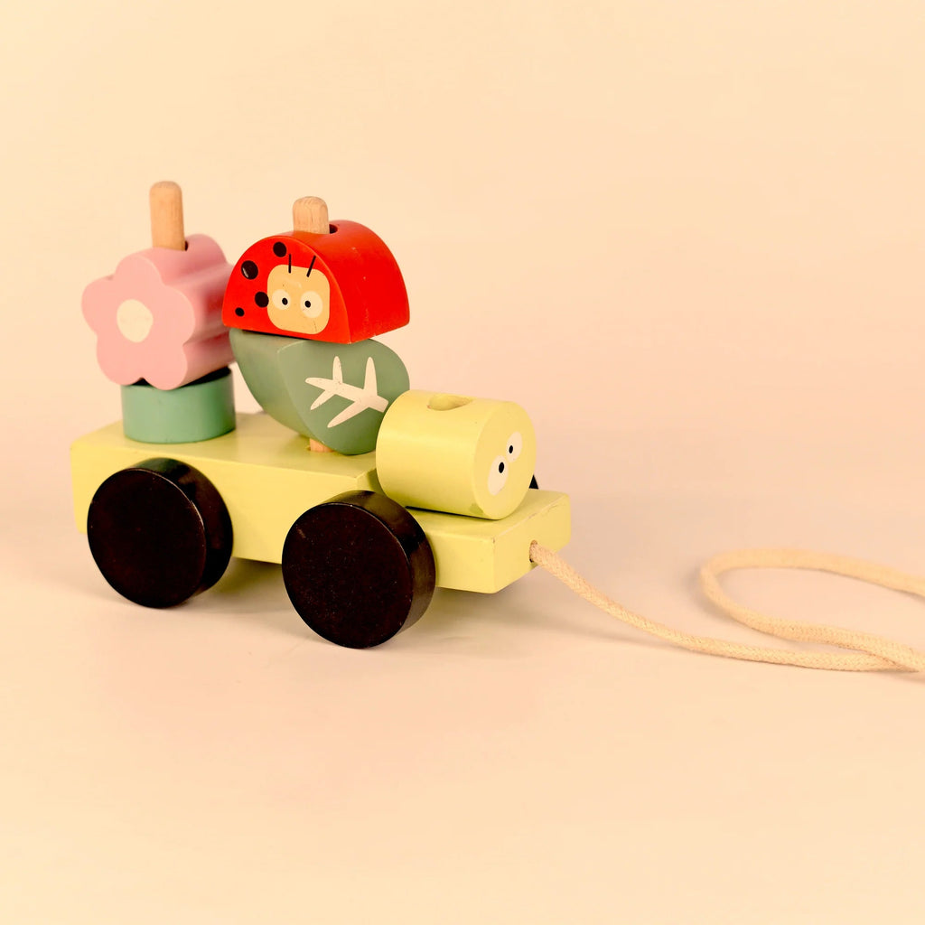 Playbox Wooden Pull Along Forest Toy Set - Tortoyse