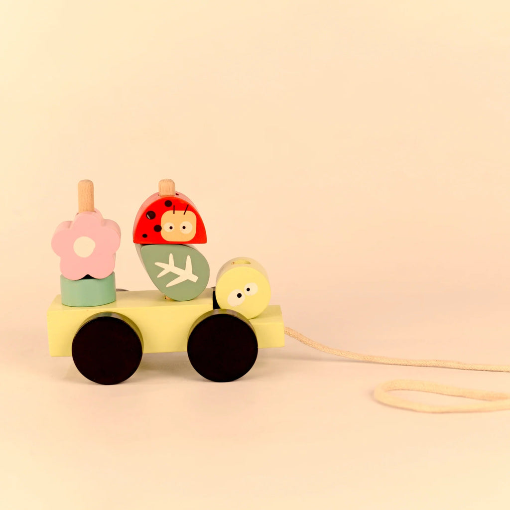 Playbox Wooden Pull Along Forest Toy Set - Tortoyse