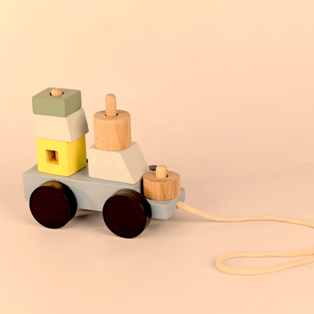 Playbox Wooden Pull Along Ship Toy Set - Tortoyse