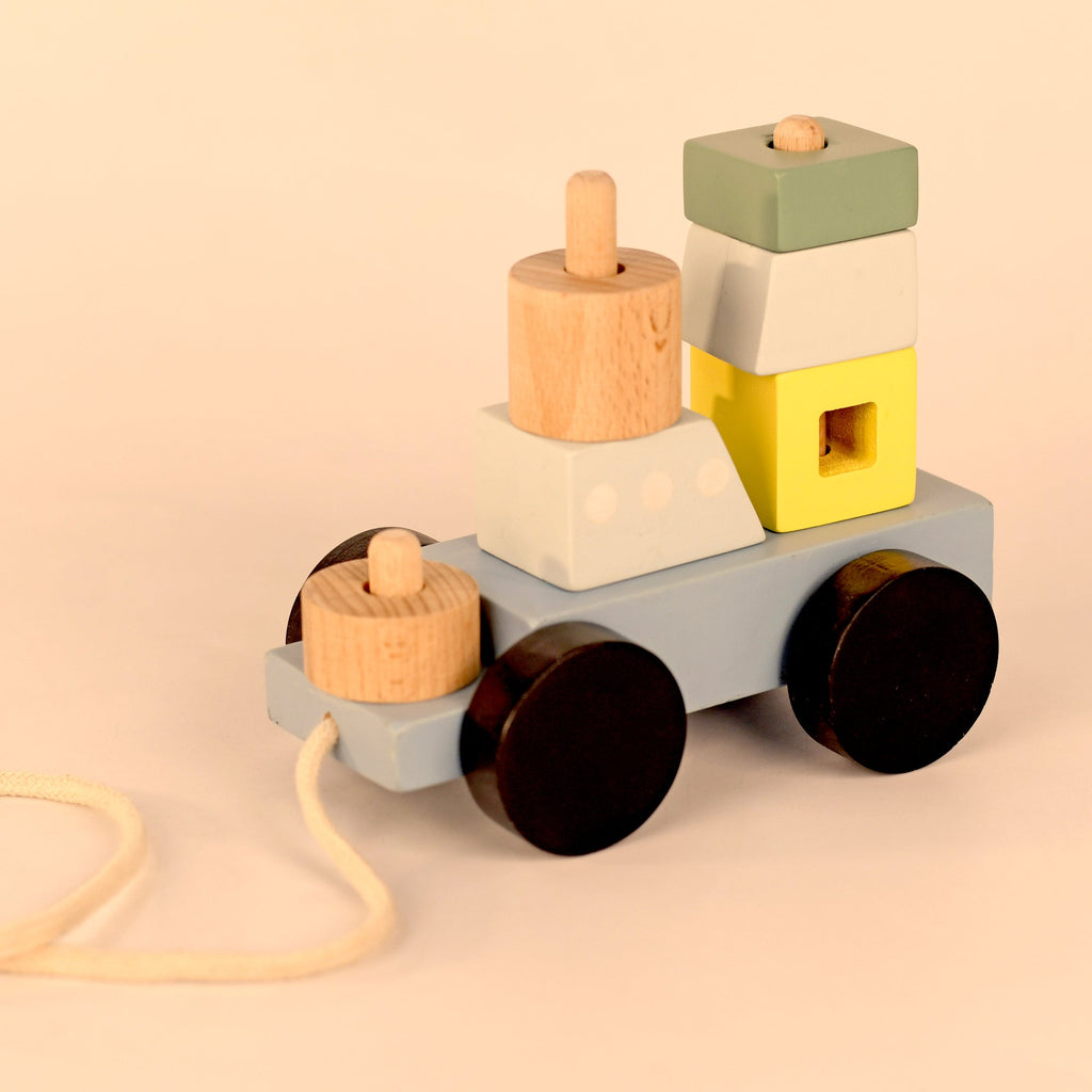 Playbox Wooden Pull Along Ship Toy Set - Tortoyse