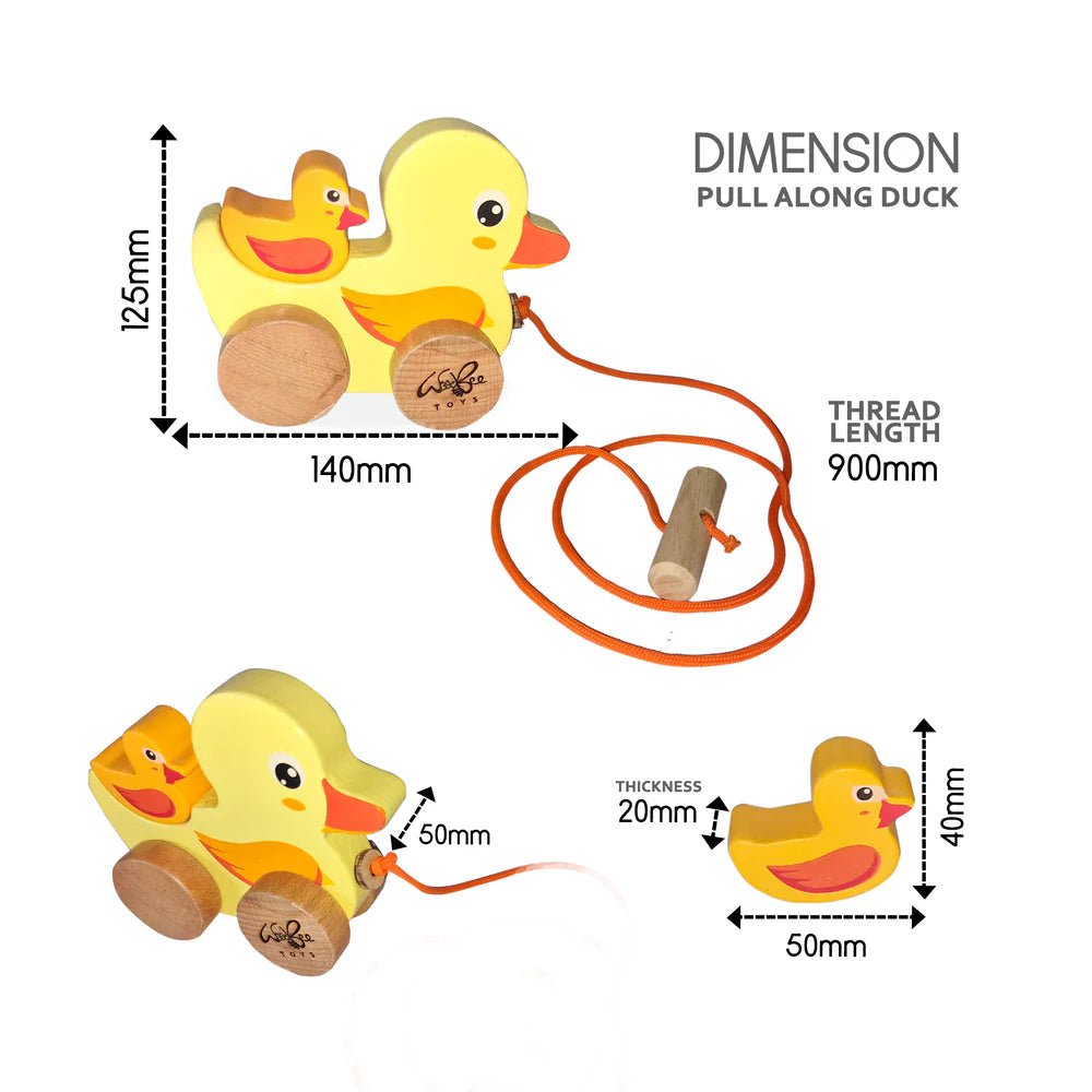 Pull Along Duck - Tortoyse