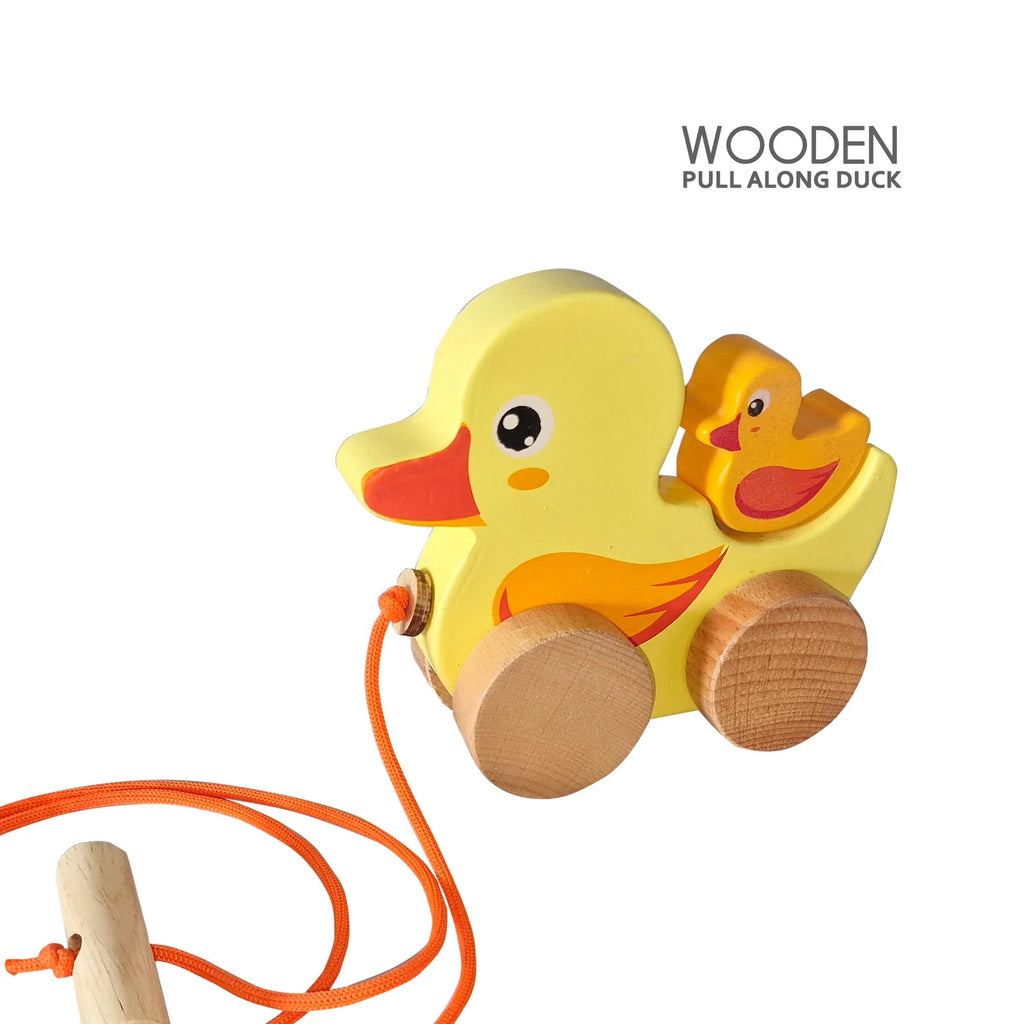 Pull Along Duck - Tortoyse
