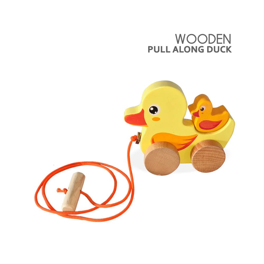 Pull Along Duck - Tortoyse