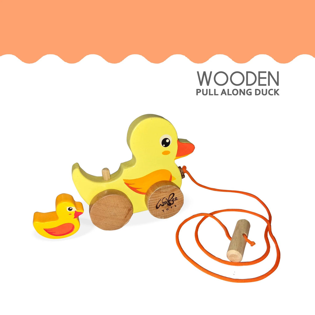 Pull Along Duck - Tortoyse