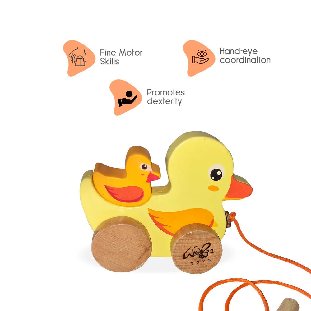 Pull Along Duck - Tortoyse