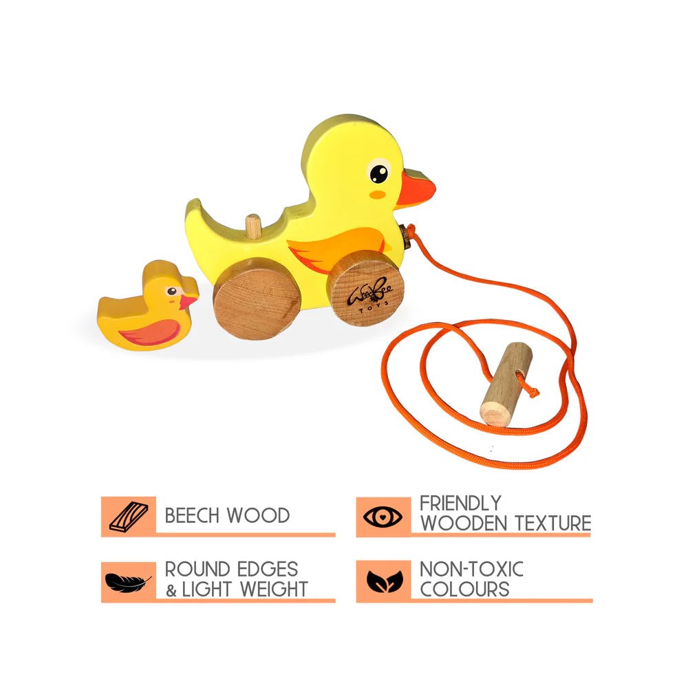 Pull Along Duck - Tortoyse