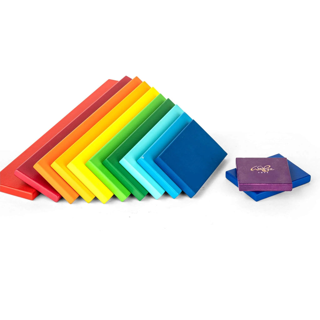 Rainbow Plates - 12 pc - Tortoyse