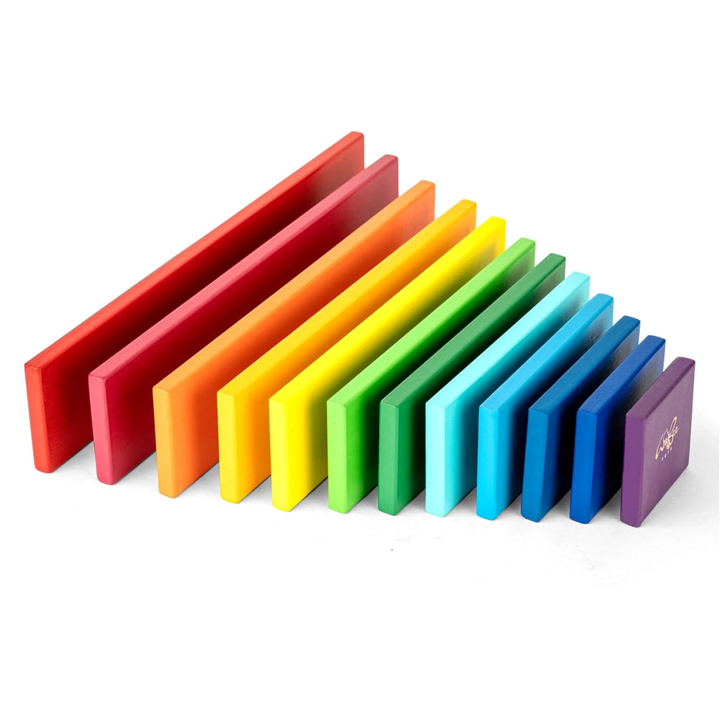 Rainbow Plates - 12 pc - Tortoyse