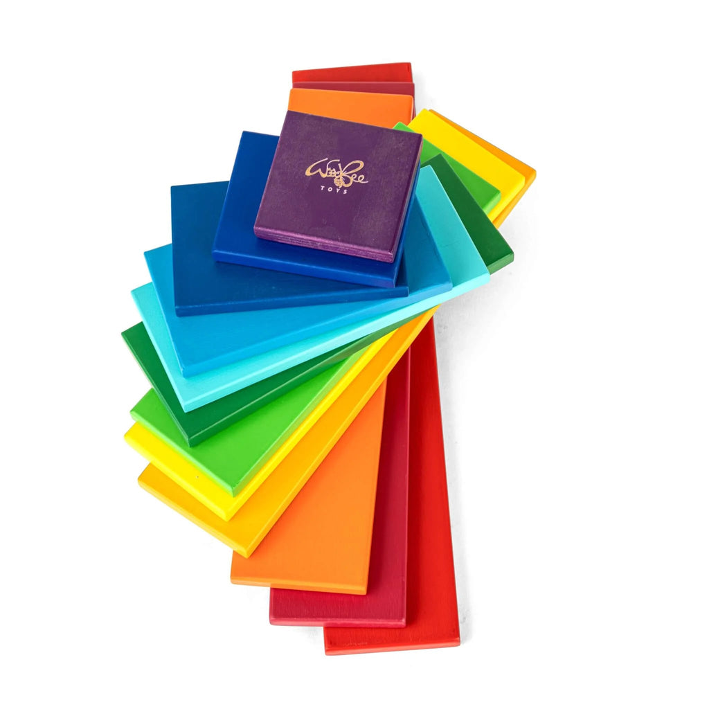 Rainbow Plates - 12 pc - Tortoyse