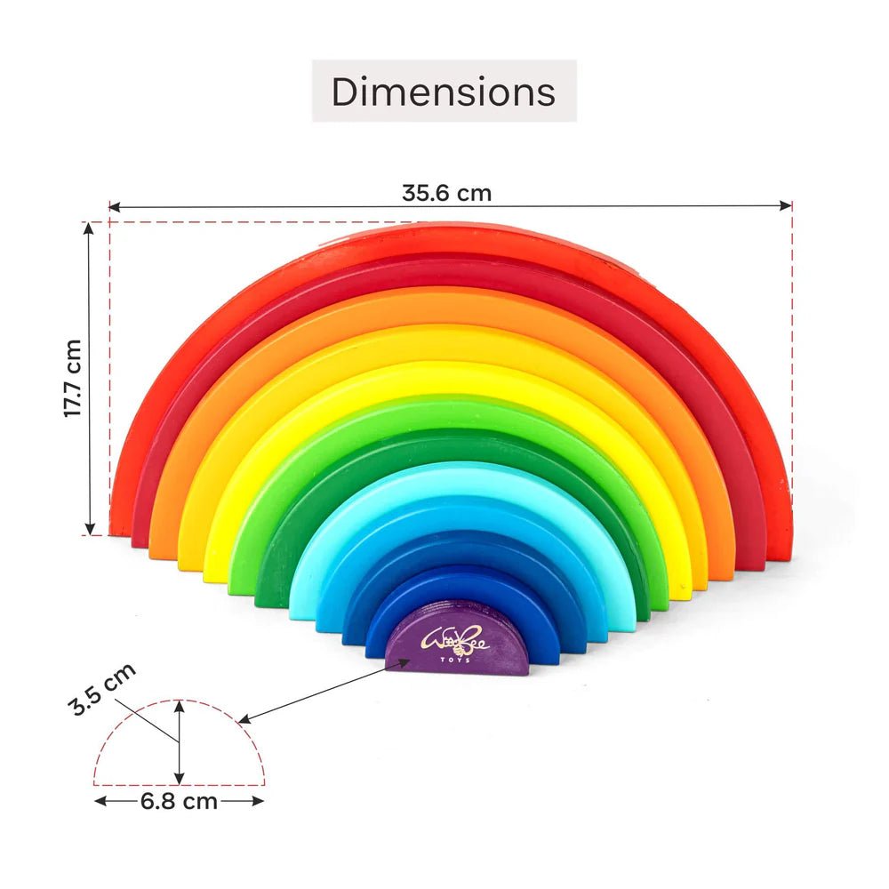 Rainbow Semicircle - 12 pc - Tortoyse