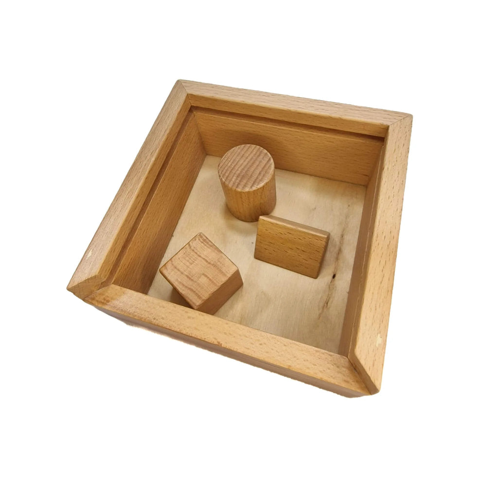 Shapes Sorter - Tortoyse