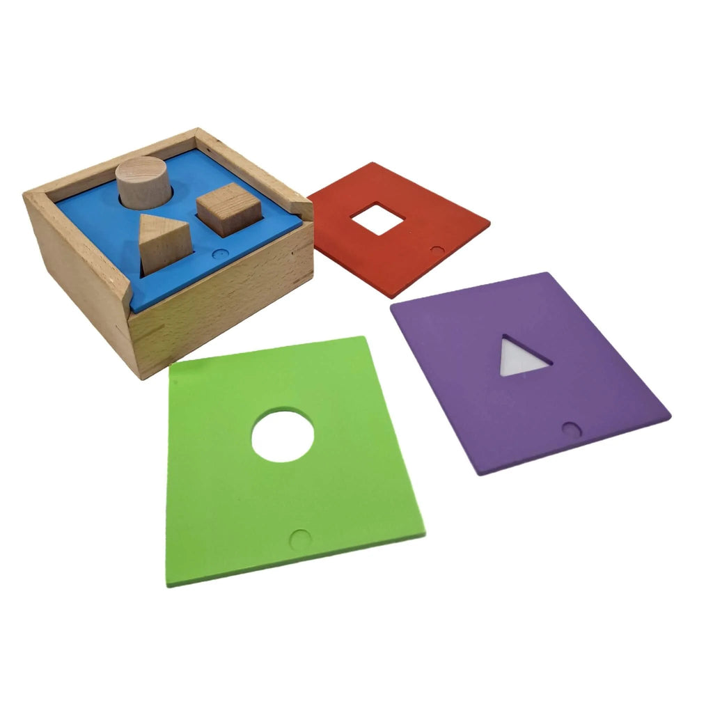 Shapes Sorter - Tortoyse