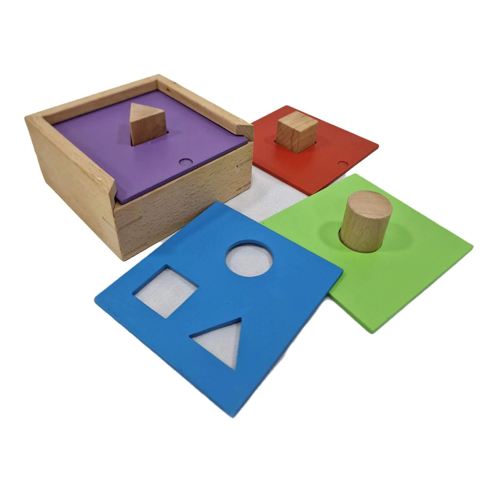Shapes Sorter - Tortoyse
