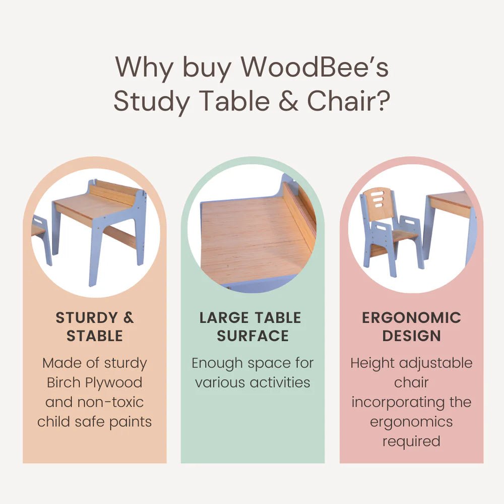 Toddler Study Table & Chair - Tortoyse